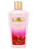 MANGO TEMPTATION - BODY LOTION